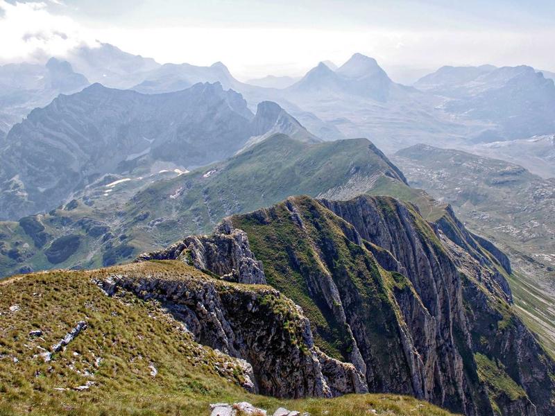 sudoku brain exercise screenshot 5